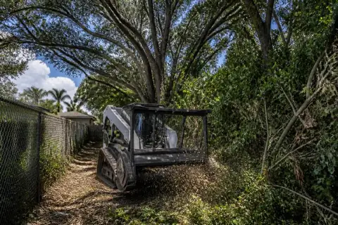 Compact forestry mulcher reducing woody growth beneath preserved oak canopy on a fenced Plantation lot